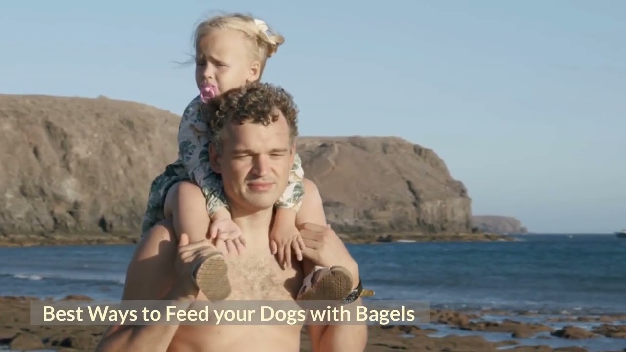 Can Dogs Eat Bagels YouTube Can Dogs Eat Bagels YouTube