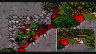 Tibia - WFP the Movie 3 Berylia