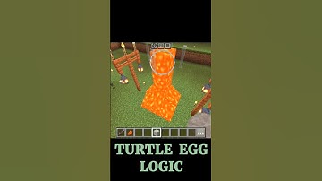 🛠MINECRAFT 🐢TURTLE EGG LOGIC🧠🕵#minecraft #shorts
