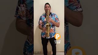 Saxofón Alto En Merengue Típico #pambiche #envivo #musica #merengue