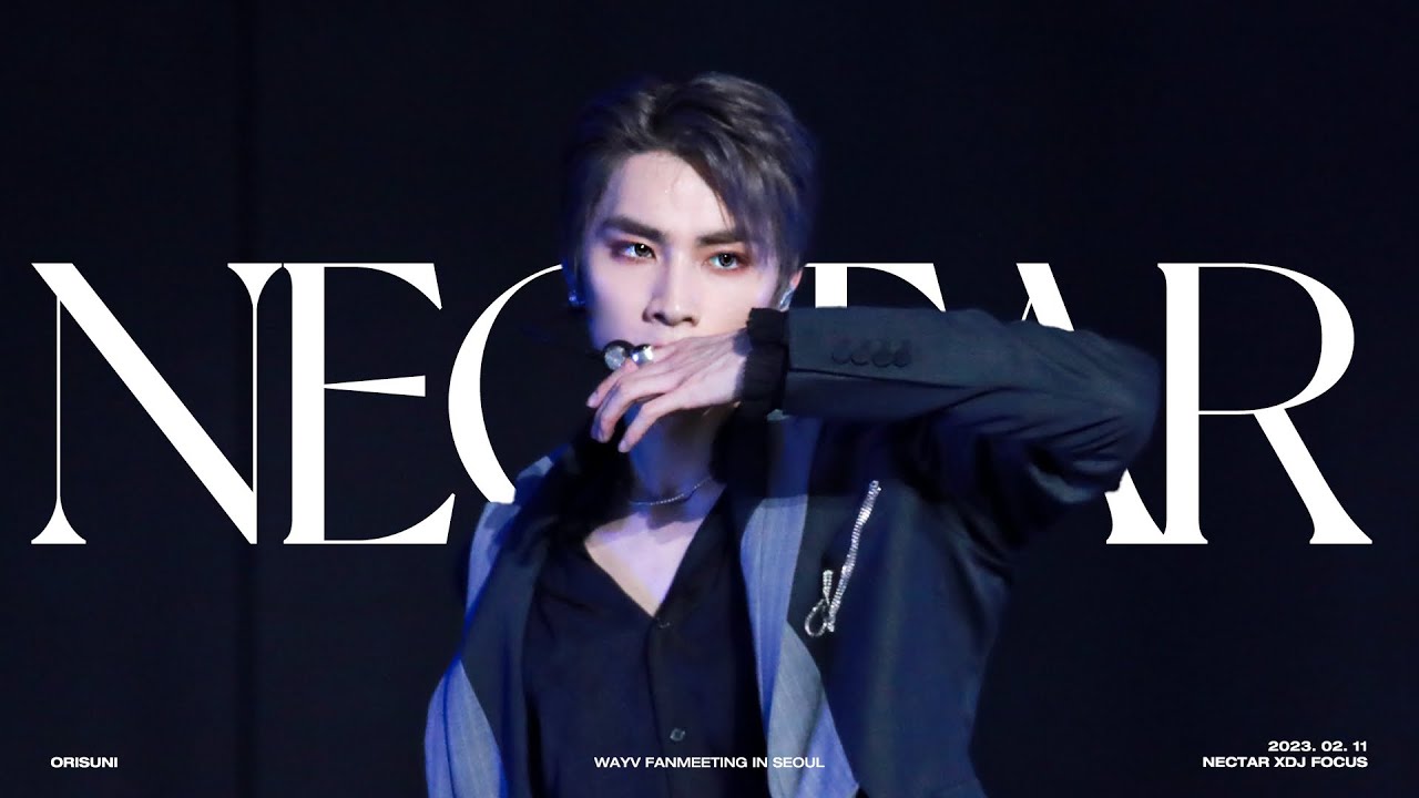 230211 WayV xiaojun 샤오쥔 2023 Fanmeeting - NECTAR  fancam 넥타 직캠