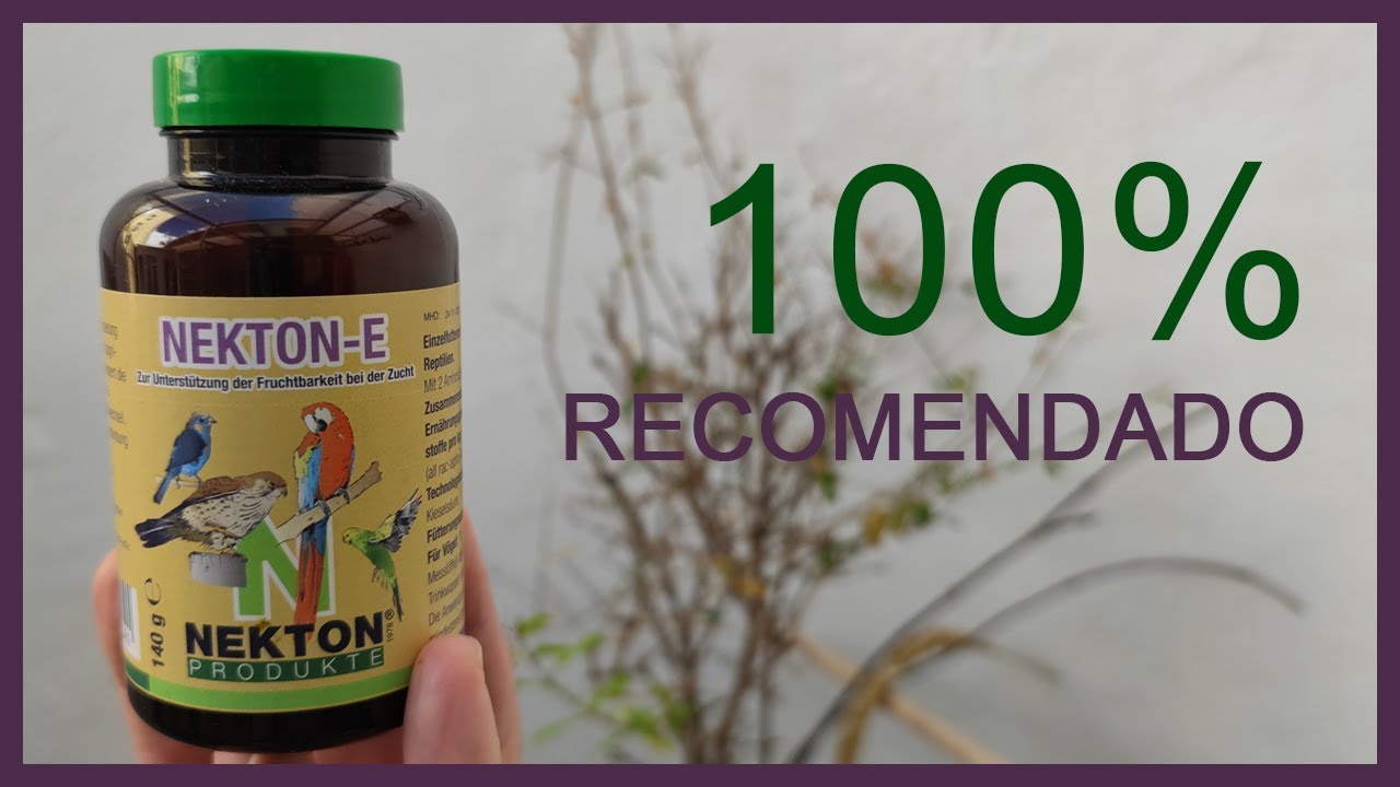 🦜Nekton E para pajaros🐦