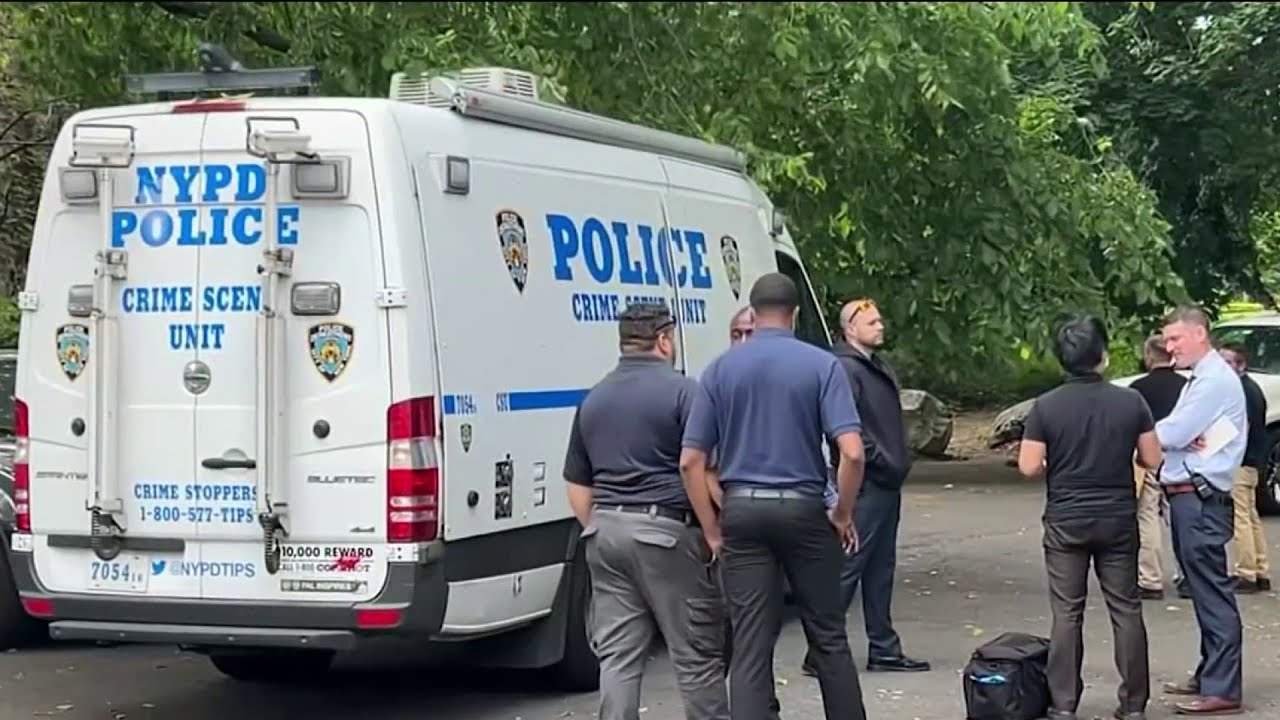 Two women found dead in NYC under mysterious circumstances | NBC New ...