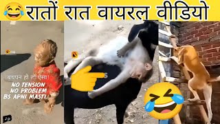 new zilli funy viral video//funy video//zili funy viral video//raato rat viral zili funyvideo