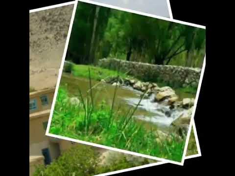 Best Hazaragi Song آهنگ قشنگ هزارگی خانه ما امشو چراغانه یاری شیرین آمده مهمانه با صدای شریفه حسینی