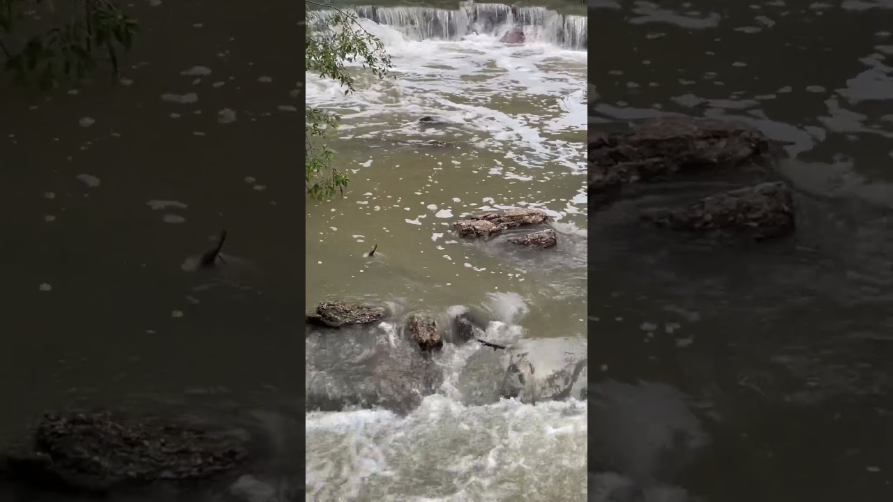 East Amarillo creek hidden waterfall, a little more vigorous after last nights rain.