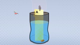 Full PacMOSSI Mosquito Egg Collection Trap Explainer Update