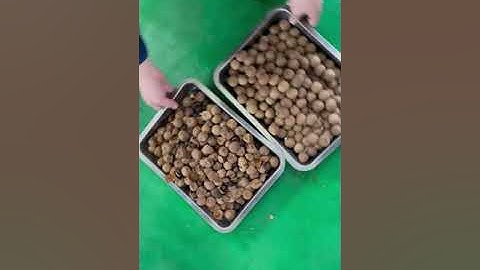 AMD Dried Longan Color Sorter Machine for Dimocarpus Longan Lour Sorting