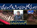 Lahore Ki Machli Mandi Masail Ka Garh Ban Gai | Tamasha
