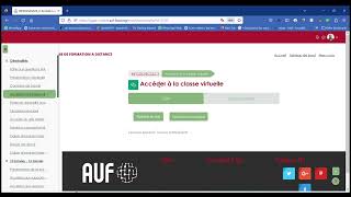 CLASSE VIRTUELLE - PRISE EN MAIN DE LA PLATEFORME DU MASTER GAGER