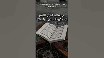 من لطائف القرآن الكريم ترجمة بوسنية