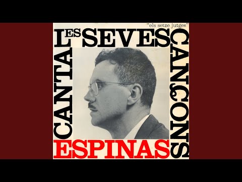 Cançó Dels Adjectius Possessius (Les Seves Cançons)