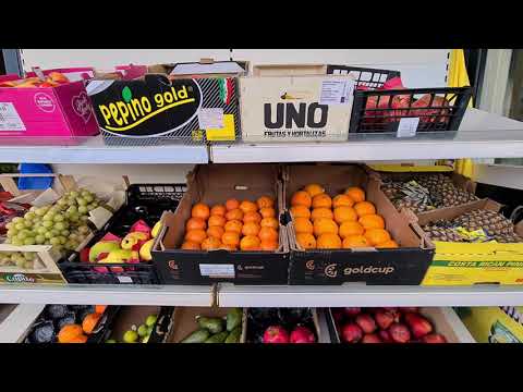 Family day in Terneuzen The Netherlands