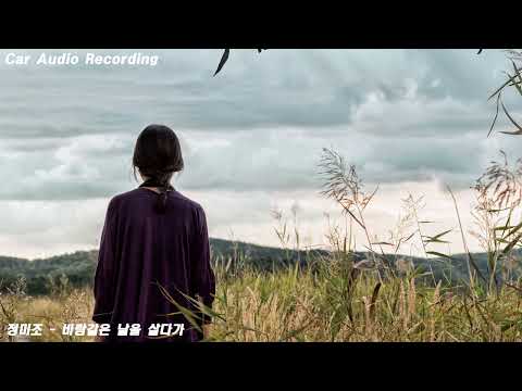 정미조 - 바람같은 날을 살다가 (2way 카오디오 재생)