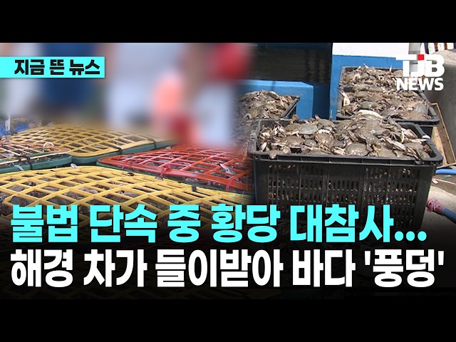 불법 단속 중 황당 대참사… 해경 차가 들이받아 바다 '풍덩'｜ TJB 대전·세종·충남뉴스