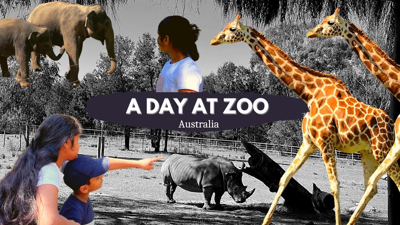 Holiday Day2 At ZOO , Dubbo, Australia Wild animals & Interesting
