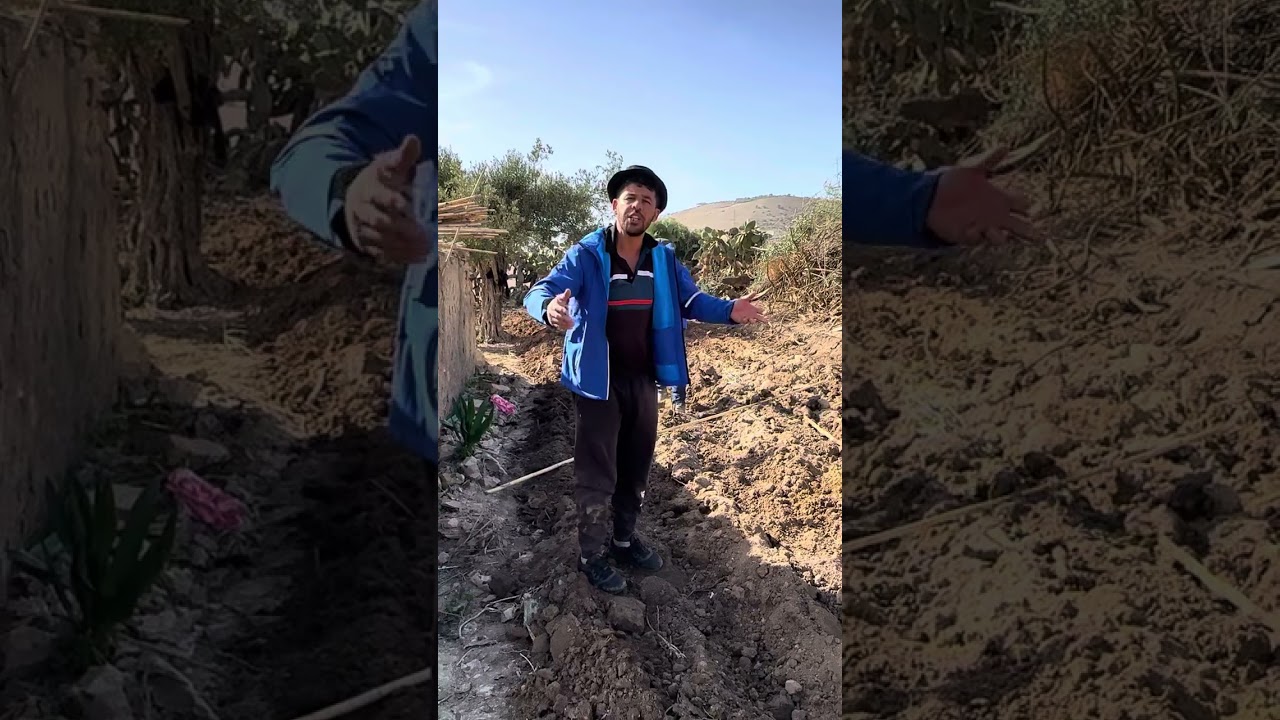 نعنوع والميلود مدابزين على 100الف