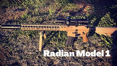 Radian Model 1: My Special Purpose Rifle (SPR)