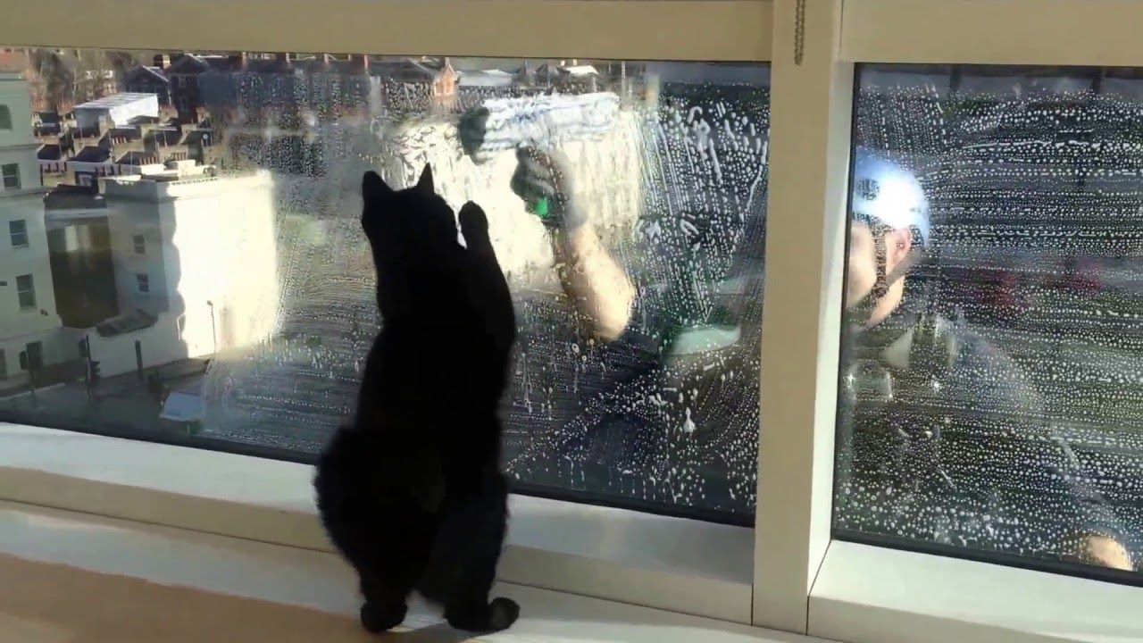 maxresdefault.jpg?sqp=-