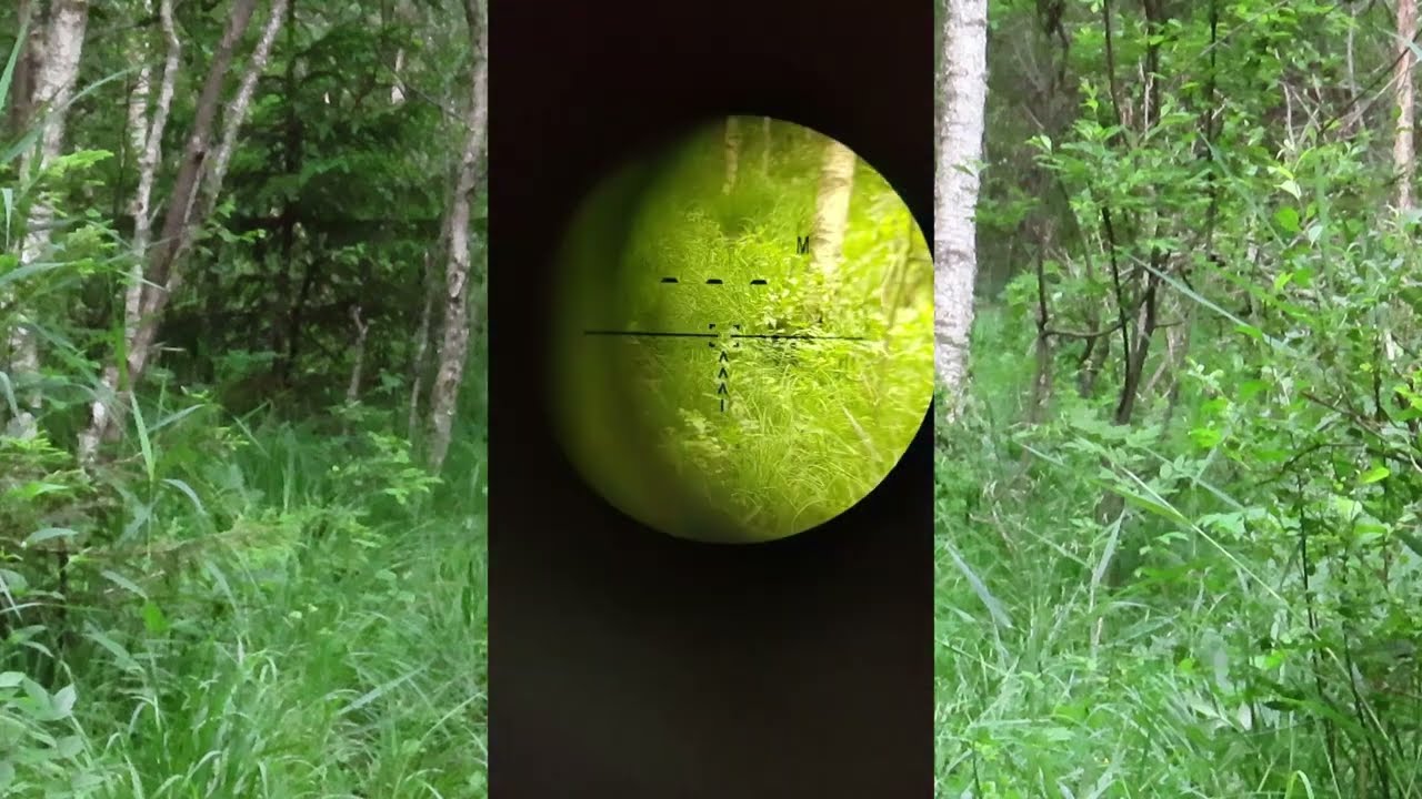 New  Record  FX Crown 146m ATP KING 40gr