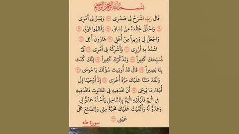 سورة طه من 25 الى 39 #قرآن #قران_كريم #آية #آيات #سورة_طه