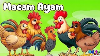 Lagu MACAM MACAM AYAM - Lagu Anak Viral - Lagu Anak Terbaru - Kompilasi Lagu Anak Indonesia Populer