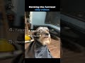 Funniest dog videos #dogshorts #dogvideos #dogs #funnydogvideos