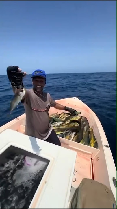fishing for Mahi-mahi fish #short #fishing #fishing #fishingmania #fish #sea