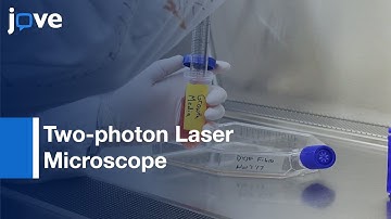 Two-photon Laser Microscope for Cell Membrane Repair Assay | Protocol Preview