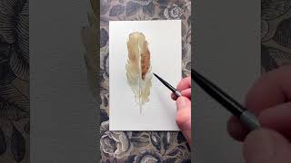 🪶 How to draw a feather #watercolor #painting
