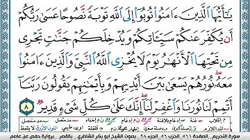ابو بكر الشاطري سورة التحريم Surah Al Tahreem Abu Bakr Al Shatri