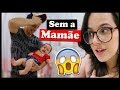 SE VIRANDO SEM A MAMÃE | Jessika Taynara