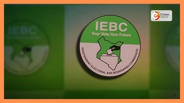 The Elections Observation Group releases preliminary report on the by-elections