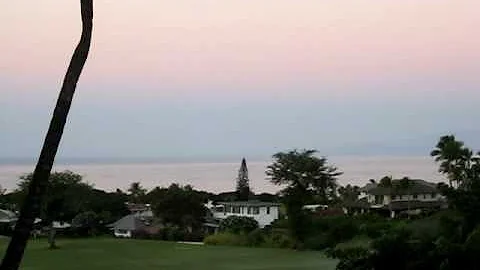 Morning Birds Singing in Hawai'i