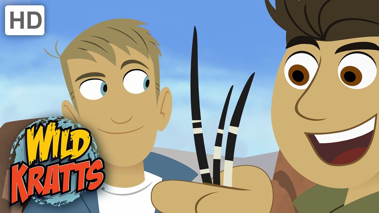 Wild Kratts Little Howler Full Episode Season 1 YouTube