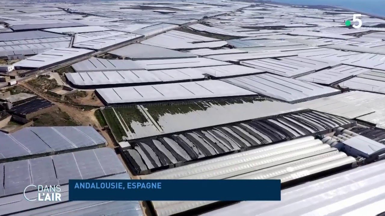 En Andalousie, l'agriculture face au changement climatique- reportage #cdanslair 03.08.2022