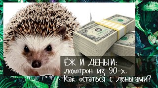 ЁЖ И ДЕНЬГИ: схема популярного уличного обмана из 90-х. Как остаться с деньгами?