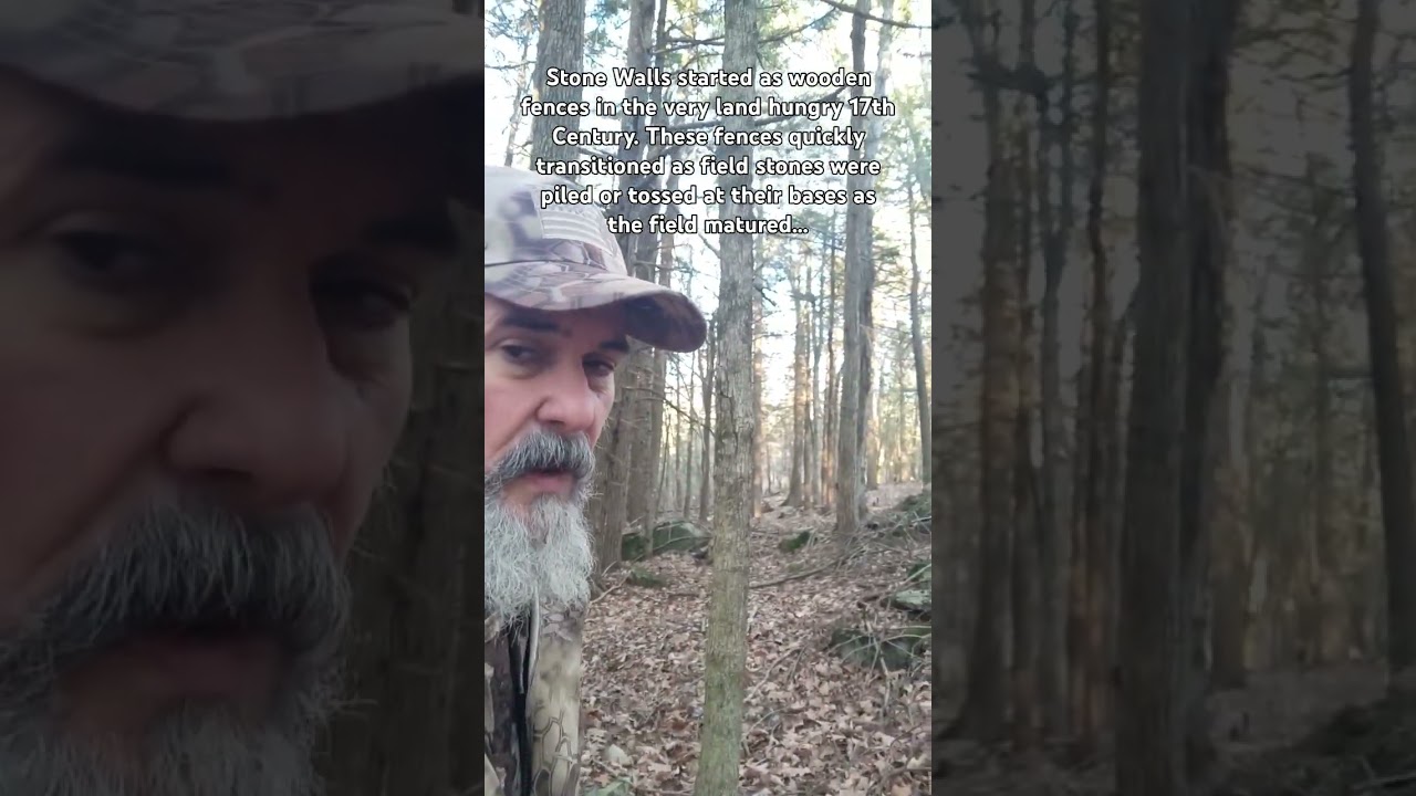 Piles of Stone Found in Northeast Forests 
