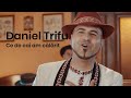 Daniel Trifu - Ce mai cai am calarit