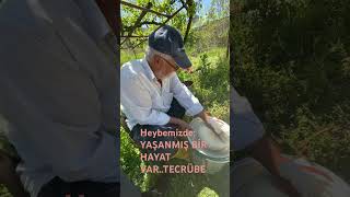 Keçi peyniri @osmantanjuguneri383 @SerefYildirim @Sencersolakoglu ​⁠@ilker.ayrık @gezentimsah