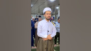 قالت ياليتني مت قبل هذا ، للقارئ مبشر محمد الكردي