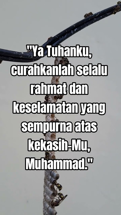Sholawat Burdah #sholawatnabi #nabimuhammad #shorts