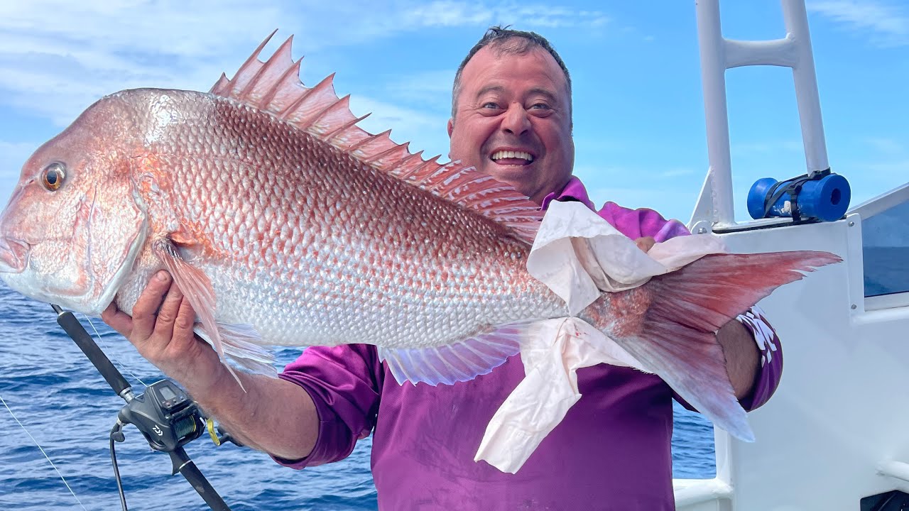 How to catch large fishes with electric fishing rod... YouTube