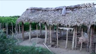 CBN NewsWatch: March 22, 2016