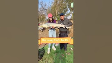 Xin lương thực câu cá và trả bằng cá #fishing #caucathugian #cauca #fish #câucá #fishinglife