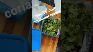 How to store coriander and  mint leaves II Cilantro fresh for long time in fridge??