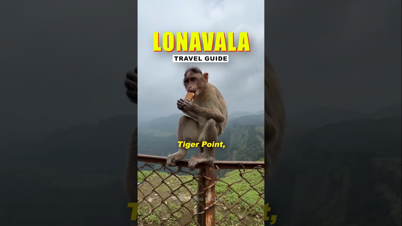 Lonavala One Day Monsoon Trip 🌧️☔️ 