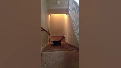 First time on the stairs.
