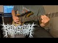 PeelingFlesh - Nefarious Moongrass (Guitar Cover)