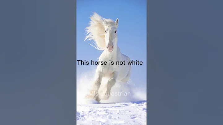 Let’s confuse the non-equestrian